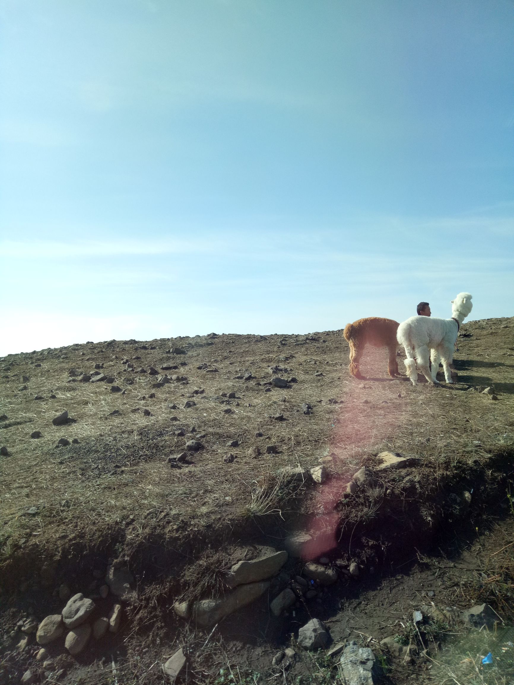 张北的草原天路之旅,张北天路攻略
