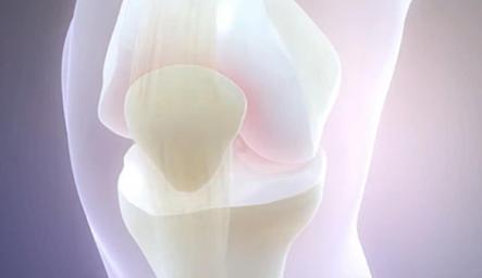 澳洲维骨力关节灵简介,维骨力治疗关节炎