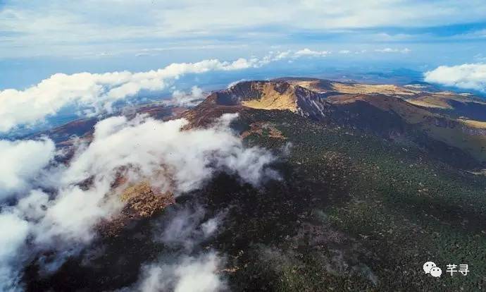 不止免签和免税店，还有各家爱豆，都在喊你去济州岛办婚礼！