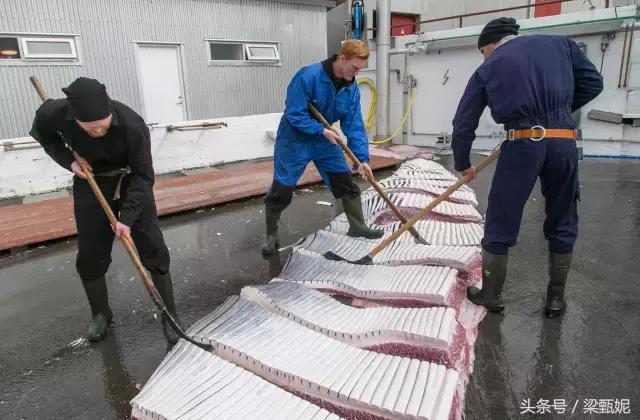 在挪威能够做什么工作,去挪威的十大禁忌