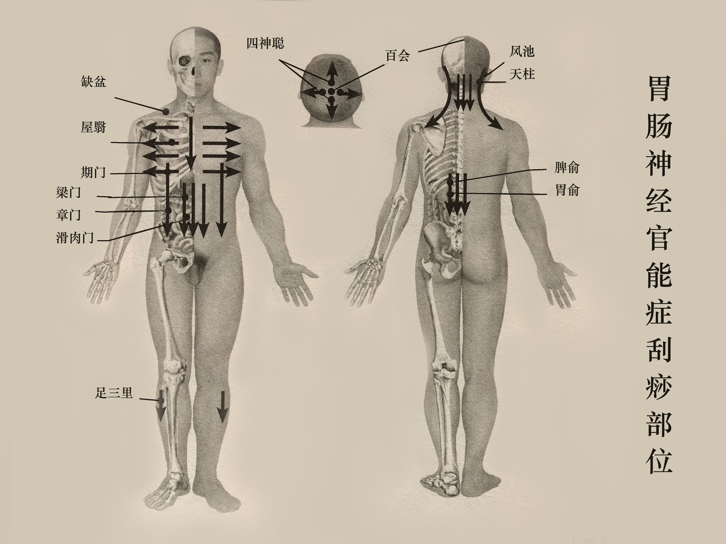 胃反流性食管炎挂什么科,胃肠炎反流性食管炎用什么药
