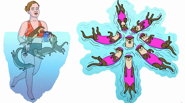 解读马男波杰克,马男波杰克生活真相