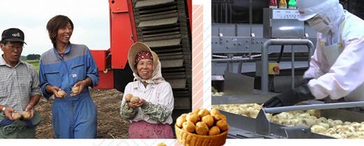 北海道寻根小土豆,calbee北海道