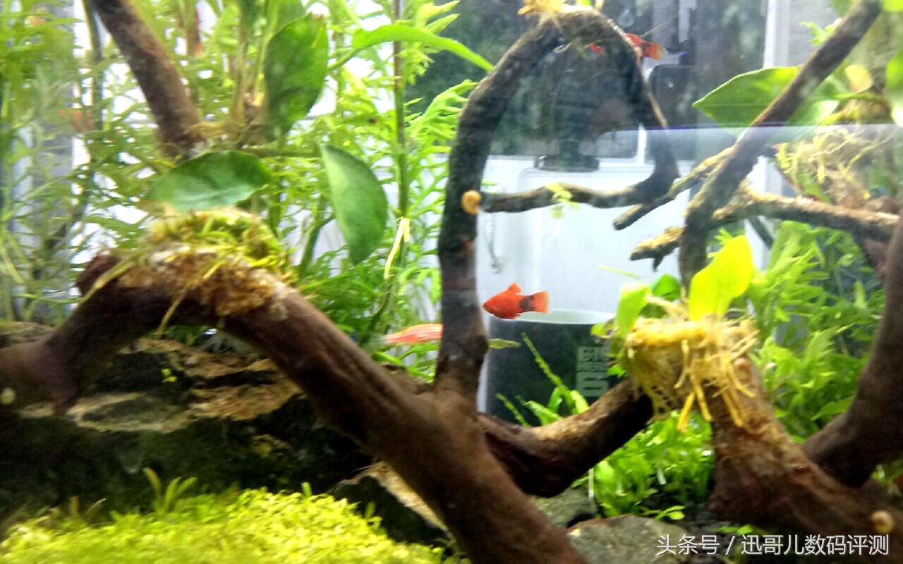 2019年魅蓝note5值得入手吗,魅蓝note6性能测评