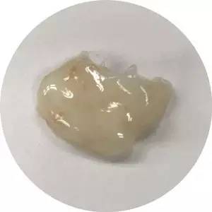 美容帮｜周冬雨全智贤一半的颜值来自透光美肌？这7款最畅销面霜给你答案