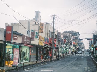 济州岛游记记录,济州岛的春天旅行日记