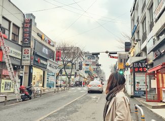 济州岛游记记录,济州岛的春天旅行日记