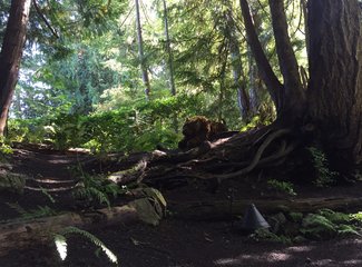 美加自驾游,美加跨境自驾游