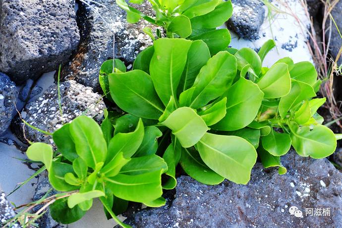 新的一年有很多事情要做,新的一年新的事