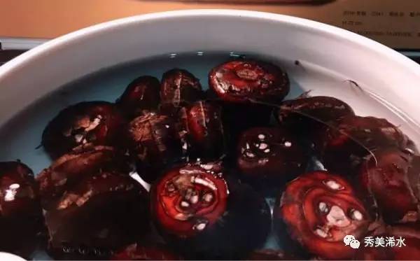 故乡草木记：荸荠