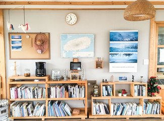 济州岛游记记录,济州岛的春天旅行日记