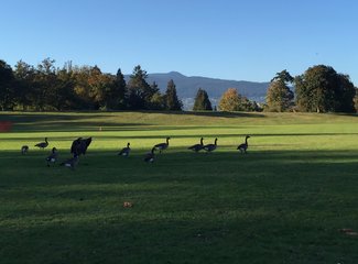 美加自驾游,美加跨境自驾游