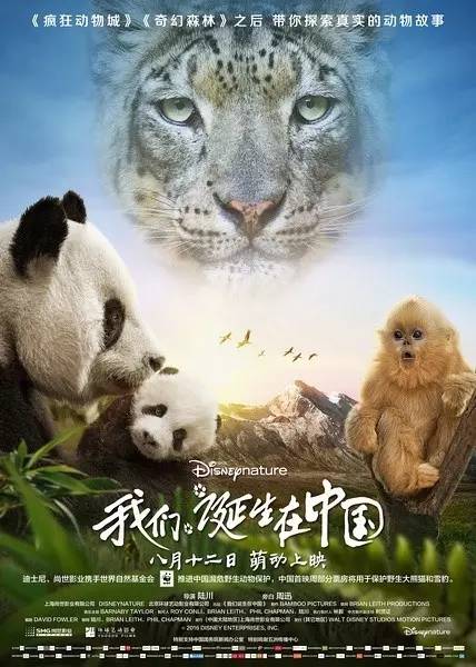 2016年度国产十佳电影,2016国产十大佳片