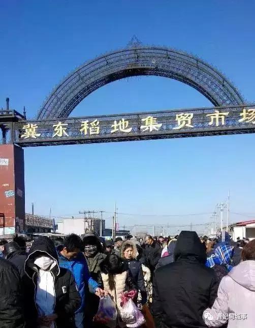 曹妃甸新城赶集,唐山曹妃甸区赶集表大全