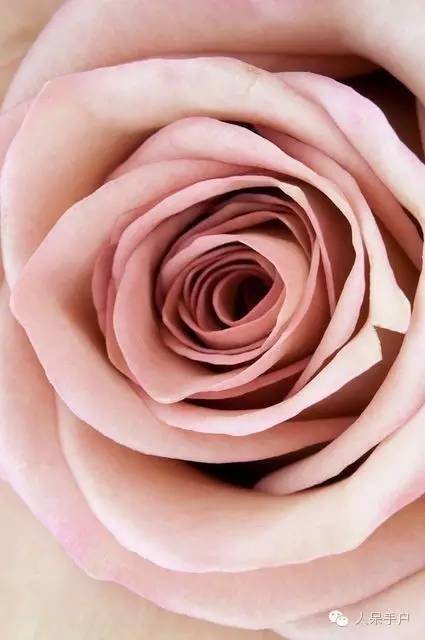 涓浗鍥借姳澶ц祻鍥剧墖,鍥借姳澶ц祻浜氭床鍥剧墖