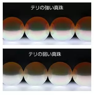 做珍珠中的“花珠”和“天女”，比考上清华北大还难