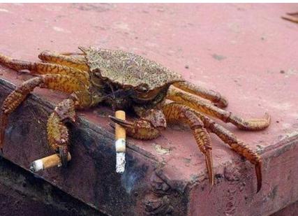 入室抢劫不立案的笑话,一个男的入室抢劫的笑话