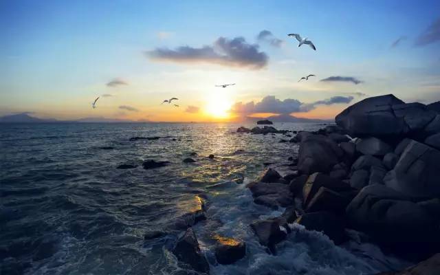 冬天的大亚湾,惠州大亚湾夏天的真实感受