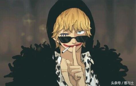 海贼王最不好用的果实能力,海贼王那些最漂亮的恶魔果实