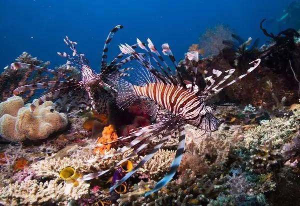 大家以前是不是都拍过这样的照片,每个人都见过的照片