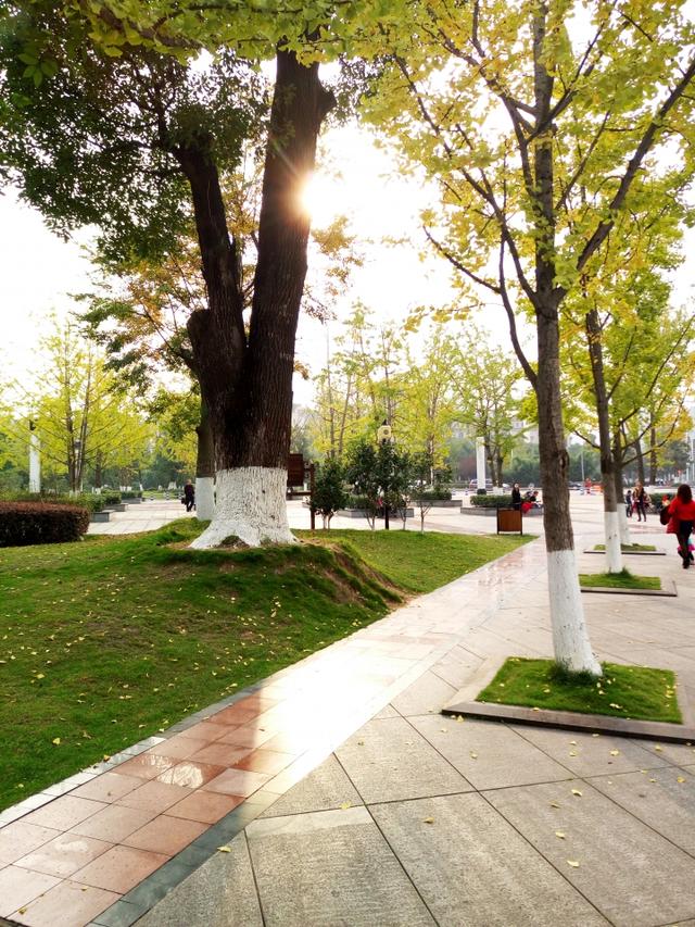 小米5拍照对比,小米5拍人像