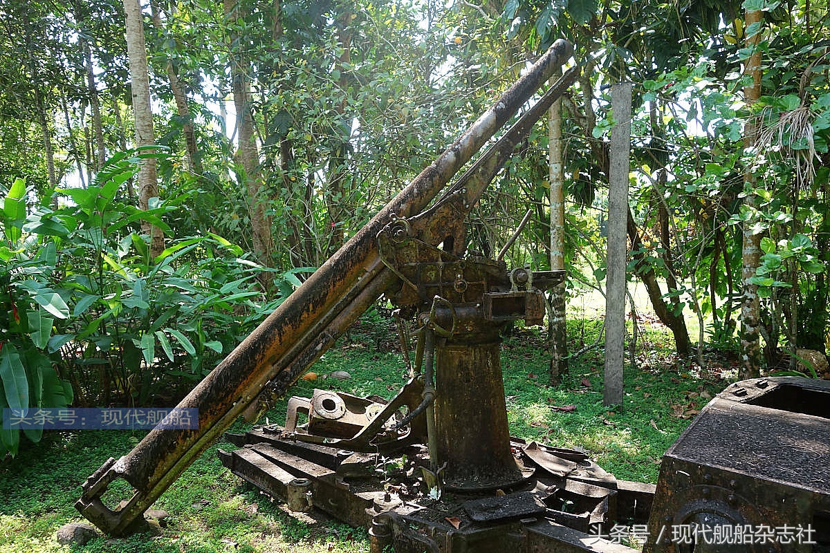 瓜达尔卡纳尔岛日军死亡率,瓜达尔卡纳尔岛战役历史讲解