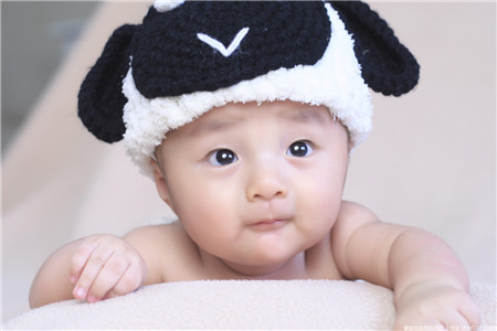 鸡宝宝男孩英文名字,2017鸡宝宝起名小名怎么取