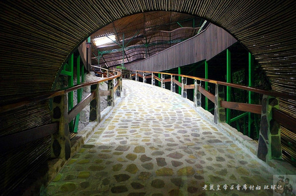 泡温泉享受的过程,泡完温泉吃自助餐