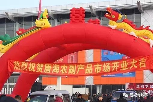 曹妃甸新城赶集,唐山曹妃甸区赶集表大全