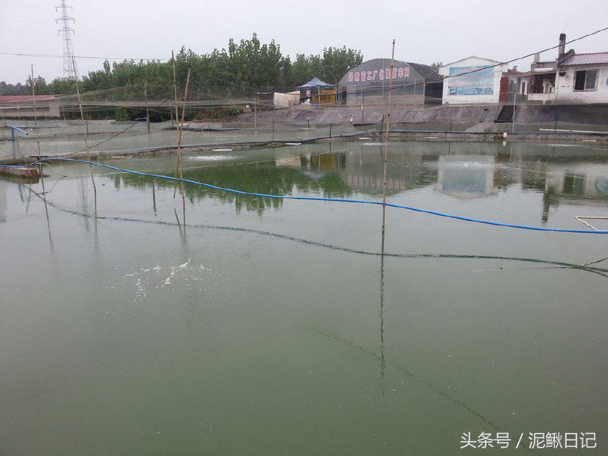 娉ラ硡鍏绘畺鏁堢泭,澶ф娉ラ硡鍏绘畺鏁堢泭