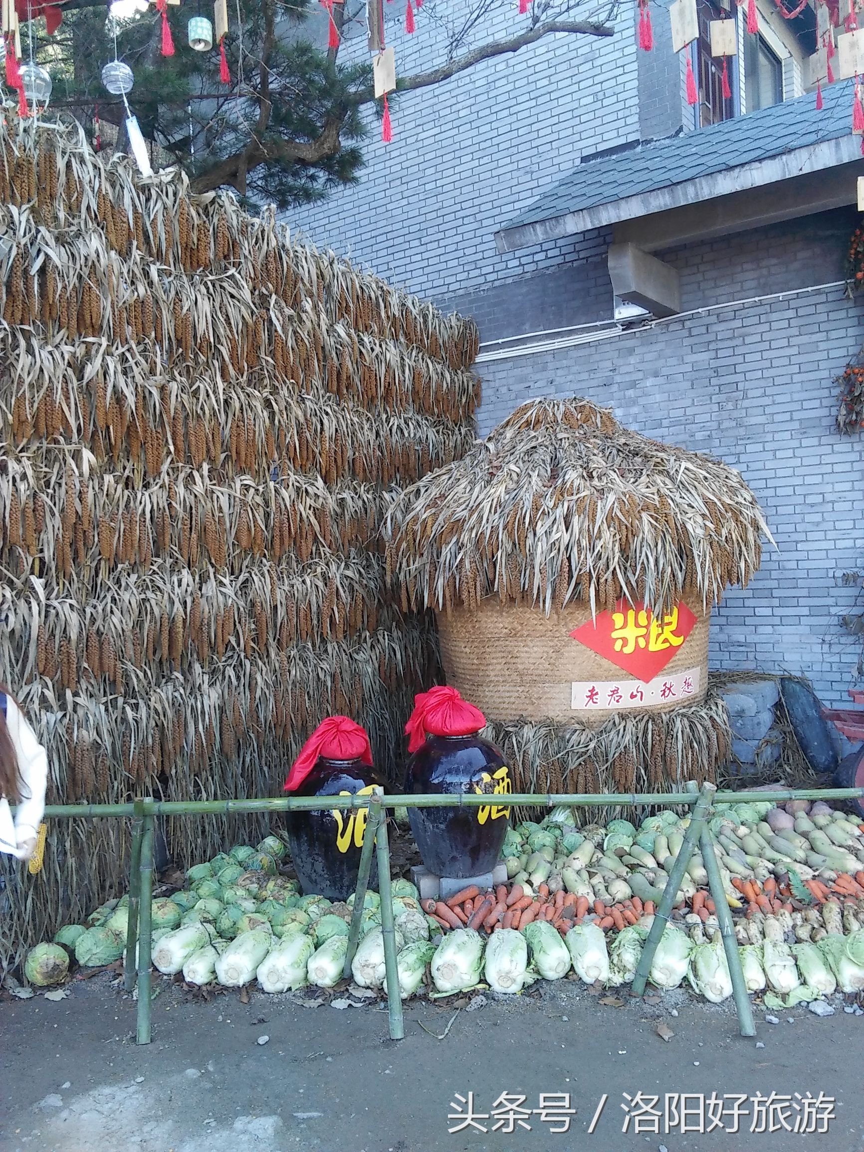 洛阳景区的官方导游词,洛阳老君山导游词4分钟