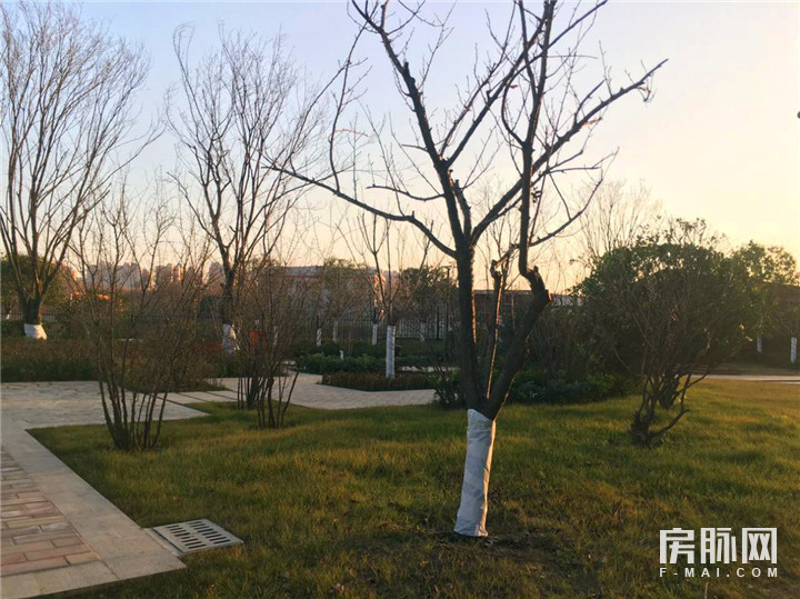 见证西安的发展,见证西安走进碑林