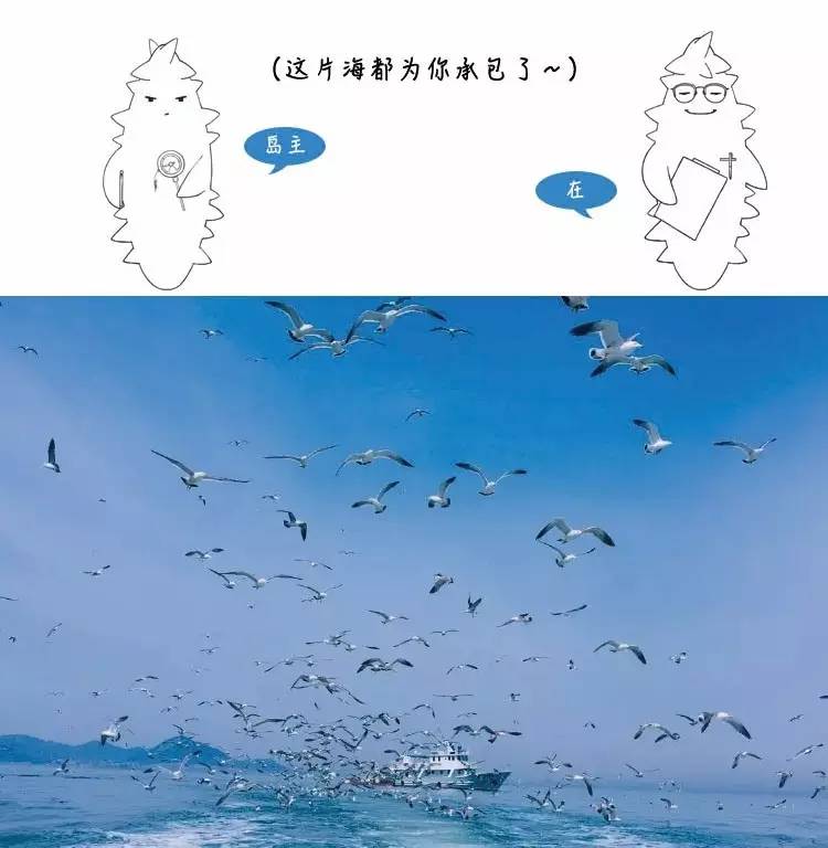 清新的蓝色有着大海的气息,如果蓝色