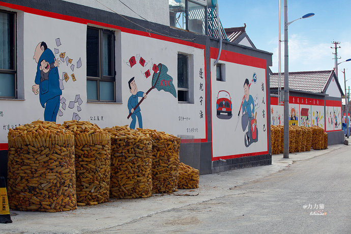 农村生活收纳箱,农村粮食收纳仓