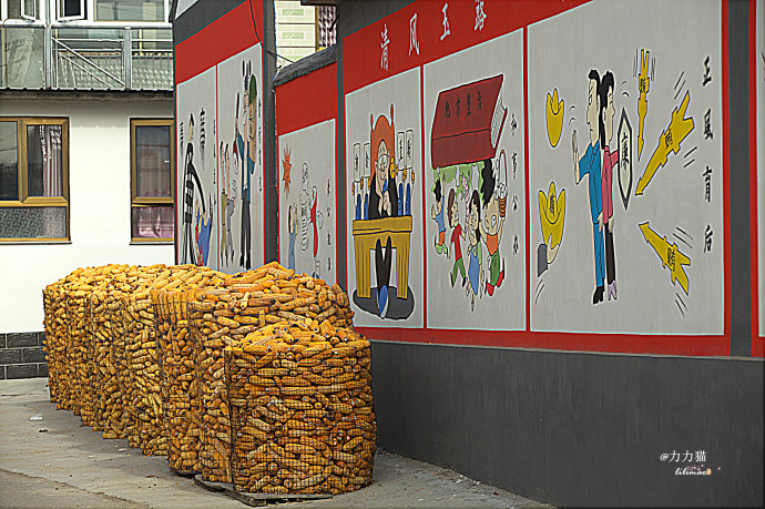 农村生活收纳箱,农村粮食收纳仓