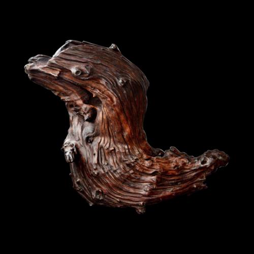 传世最顶级奇楠沉香展示,天然奇楠沉香面世图片