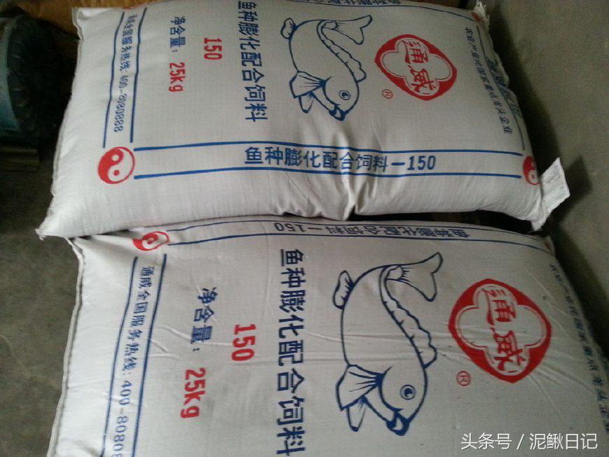 娉ラ硡鍏绘畺鏁堢泭,澶ф娉ラ硡鍏绘畺鏁堢泭