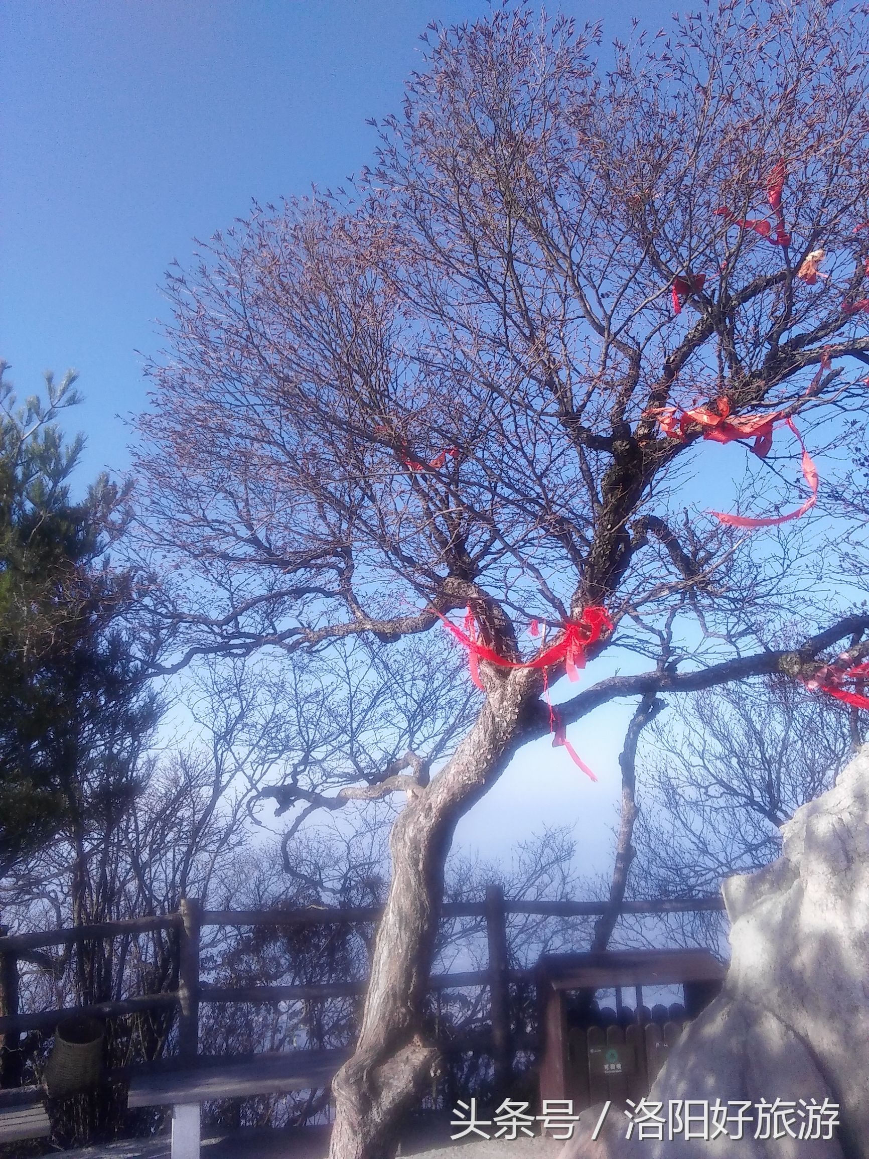 洛阳景区的官方导游词,洛阳老君山导游词4分钟