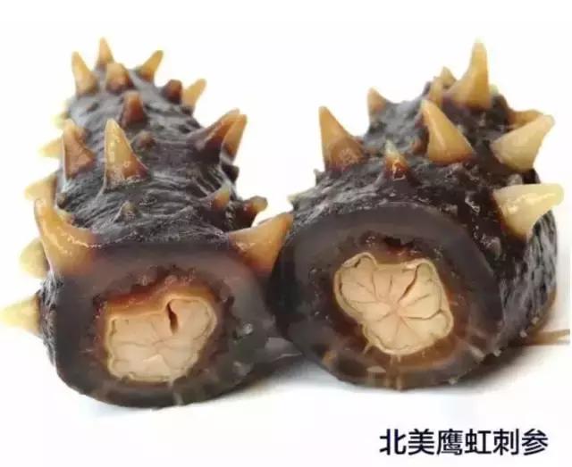 阿拉斯加刺参和加拿大刺参的区别,刺参哪个国家的最好