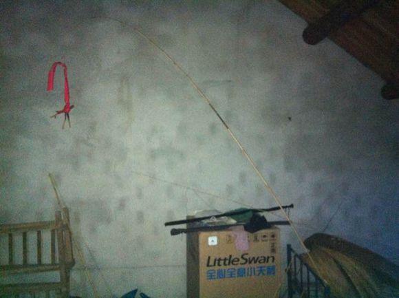 自己用竹子手工打造钓鱼竿，附上完全设计图和流程图