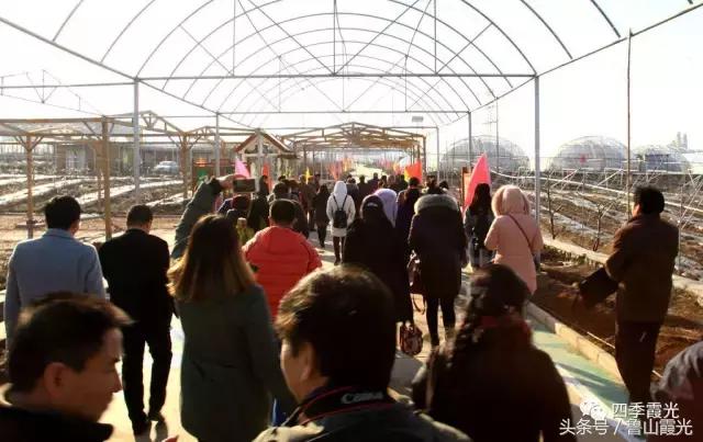 魅力龙泉,龙泉镇富硒采摘园