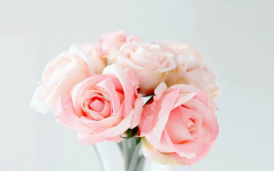 宫颈癌疫苗的最新进度,宫颈癌疫苗最新消息持续更新