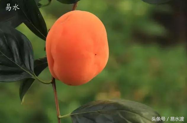 易县介绍在哪里,易县哪儿能够看玉的真假