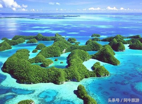 春日美丽的景色,春日里的风景美景