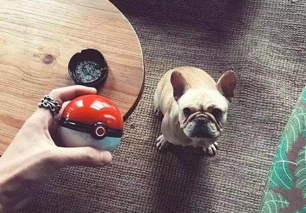 试元气|又是极端低温天，还好我有这些取暖夯货