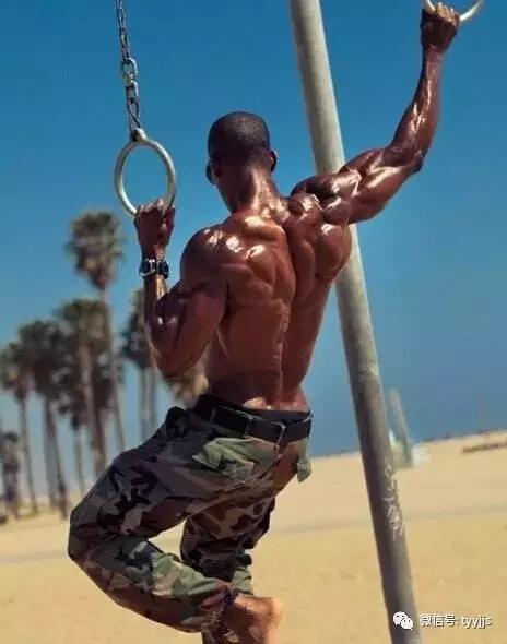 健身初学者增肌训练计划,健身房初学者男士健身计划