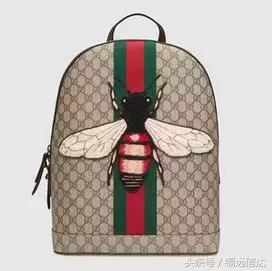 2016颁奖典礼,包包颁奖典礼完全视频