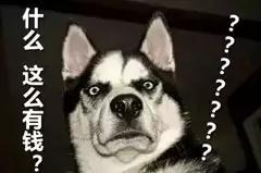 别人家公司的年终奖,别人家的公司年终奖