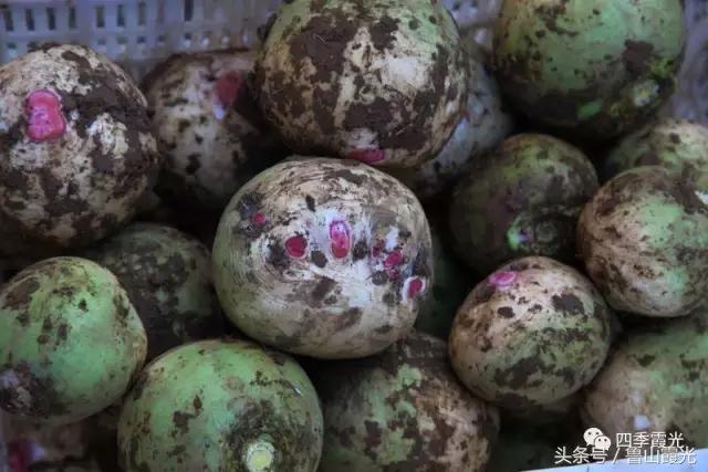 魅力龙泉,龙泉镇富硒采摘园