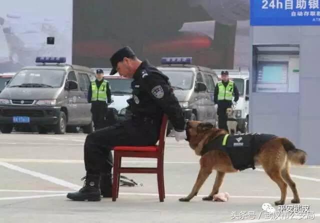 浜哄湪姹熸箹鐪熷疄闀栧眬瑙嗛,浜哄湪闀栧眬